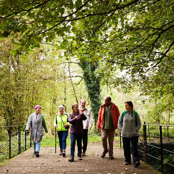 Visitors enjoying an artist led walk in woodland.