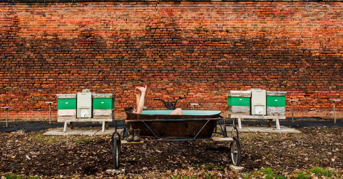 Jessica Rost | Yorkshire Sculpture Park
