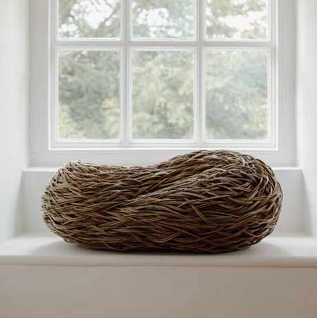 A woven basket resembling a nest sits on a windowsill, framed by a large window. Soft natural light filters through, illuminating the intricate patterns of the basket and the greenery visible outside.