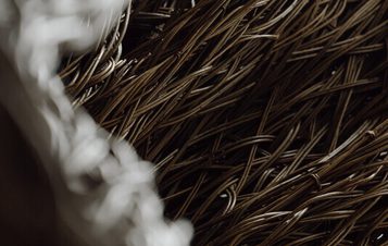 A close-up view of intertwined natural fibres, showcasing a complex pattern of brown and beige strands. The texture appears woven and layered, creating a sense of depth and intricacy in the arrangement of the materials.