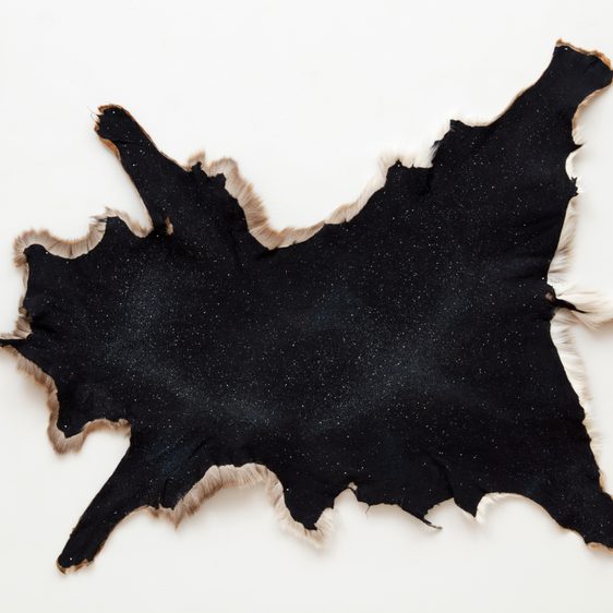 A dark, textured hide with a starry pattern, featuring soft, light-coloured fur along the edges. The hide is irregularly shaped and displayed against a plain white background, highlighting its unique design and natural beauty.