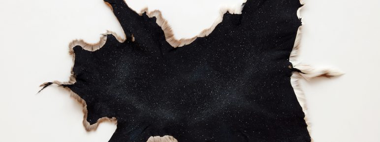 A dark, textured hide with a starry pattern, featuring soft, light-coloured fur along the edges. The hide is irregularly shaped and displayed against a plain white background, highlighting its unique design and natural beauty.