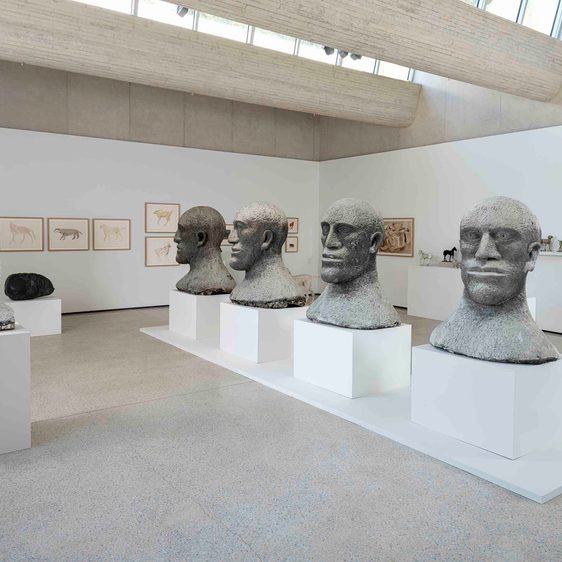 Four large head sculptures displayed on plinths in a row inside a gallery space.