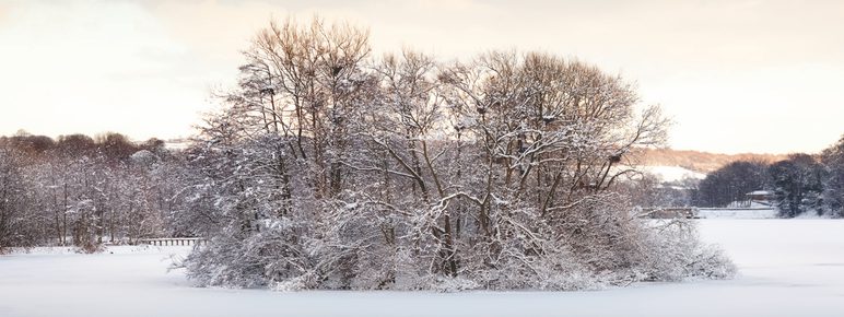An island in a lake filled with trees and covered in snow.