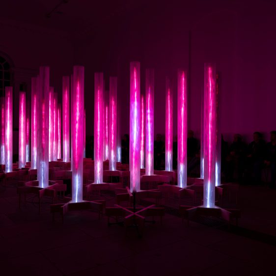 A collection of pink glowing columns