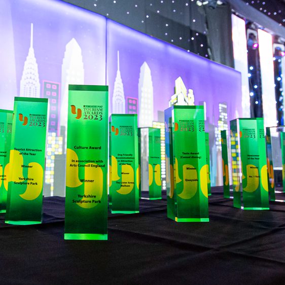 Several trophies lined up on a table.