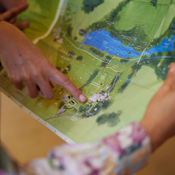 Close up of hands pointing to areas on a YSP Park map