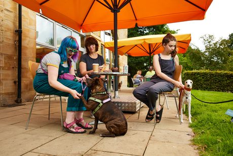 A group of three women and two dogs sitting at an outdoor table under a sun umbrella.
