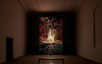A digital projection of an oak tree in a darkened gallery space.