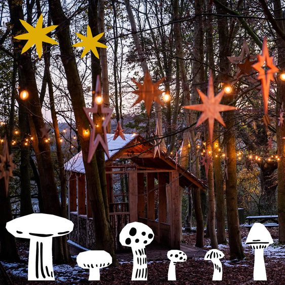 A woodland play area at dusk, decorated with festoon lights and wooden star decorations