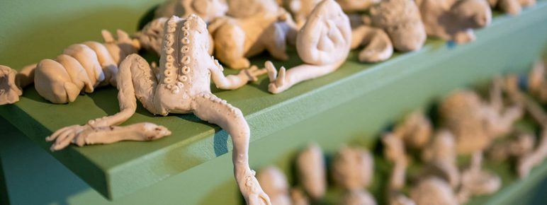 A shelf full of wax animal models