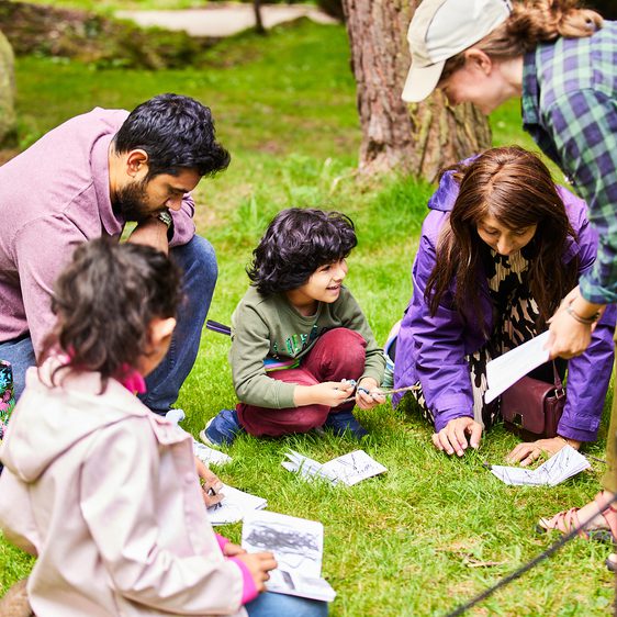A group of adults and children drawing together outdoors