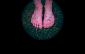 A pair of bare feet on grass within a circle of light.