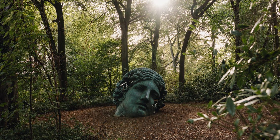 A large, weathered sculpture of a head lies on the forest floor, surrounded by lush greenery. Sunlight filters through the trees, casting a warm glow on the scene, creating a serene and mystical atmosphere.