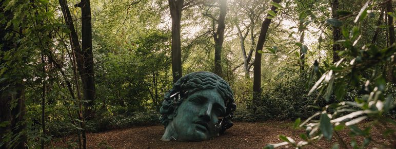 A large, weathered sculpture of a head lies on the forest floor, surrounded by lush greenery. Sunlight filters through the trees, casting a warm glow on the scene, creating a serene and mystical atmosphere.