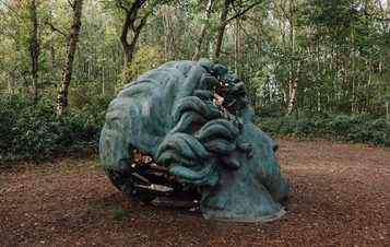 A large, abstract sculpture resembling a head with flowing hair, partially broken to reveal reflective surfaces inside. It is situated in a wooded area, surrounded by trees and foliage, on a forest floor covered with leaves and twigs.