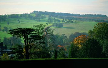 A picturesque landscape featuring rolling green hills, dotted with trees in various autumnal hues. The scene is bathed in soft light, with a winding path leading through the countryside, creating a serene and tranquil atmosphere.