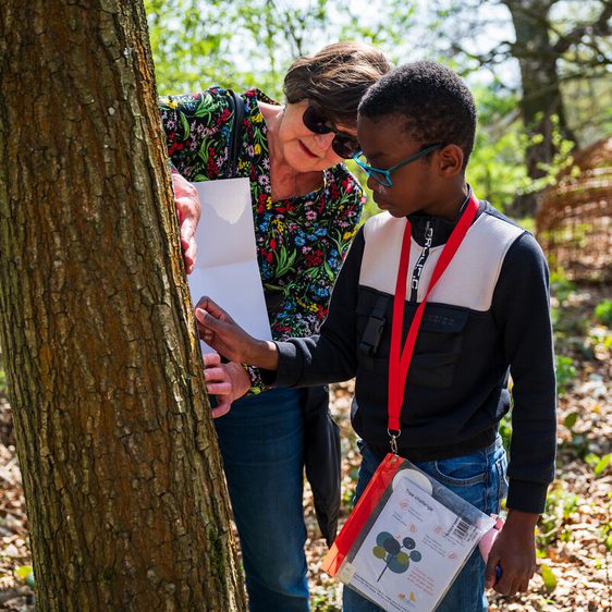 A woman and a young boy examine a tree in a wooded area. The woman, wearing sunglasses, points to a paper she holds, while the boy, wearing glasses and a lanyard, looks closely at the tree. Sunlight filters through the leaves, creating a vibrant atmosphere.