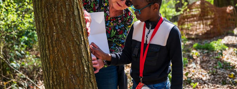 A woman and a young boy examine a tree in a wooded area. The woman, wearing sunglasses, points to a paper she holds, while the boy, wearing glasses and a lanyard, looks closely at the tree. Sunlight filters through the leaves, creating a vibrant atmosphere.