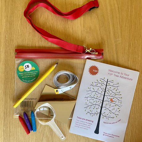 A flat lay of a red zip bag containing a magnifying glass, a pencil, a measuring tape, colourful crayons, a reflective sheet, and a welcome booklet for the YSP Tree Adventure, all set on a wooden surface.